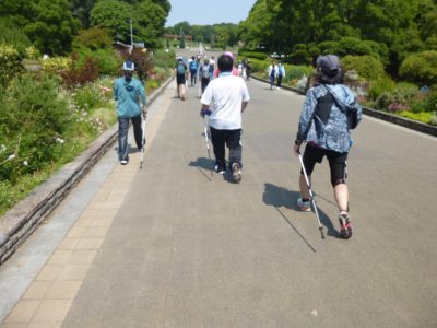 【ヘルシージョイクラブ】ノルディックウォーキング※休講中